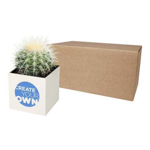 Maceta de aluminio con planta, cactus, &quot;Hey Pots&quot; Blanco | Impresión Digital | izquierda | 40 mm x 40 mm