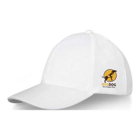 Gorra de camionero de algodón de 6 paneles "Drake"