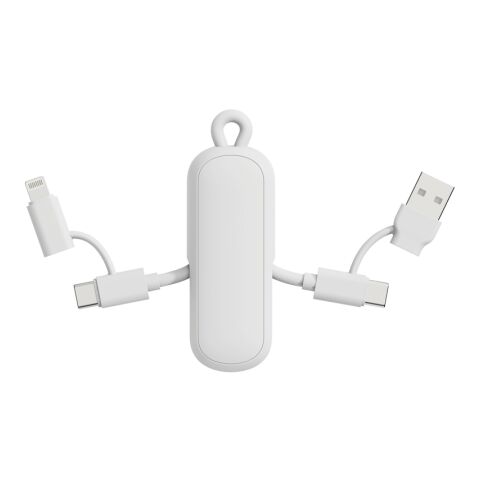 Cable llavero Urban Vitamin Dublin 100W 4 en 1