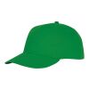 Gorra Ares de 6 paneles Estándar | Verde helecho | sin montaje de publicidad | no disponible | no disponible | no disponible