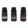 InsideOut Aroma Pebble Set de regalo con 6 aceites esenciales Ecru | sin montaje de publicidad | no disponible | no disponible