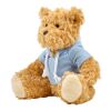 Oso de peluche con capucha azul