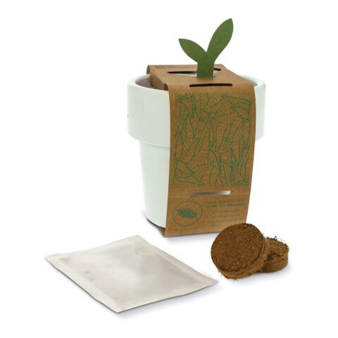 Taza caliente-pero-fría con semillas de albahaca Blanco | sin montaje de publicidad | no disponible | no disponible | no disponible