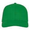 Gorra Ares de 6 paneles Estándar | Verde helecho | sin montaje de publicidad | no disponible | no disponible | no disponible