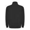 Sudadera con media cremallera "Aneto" Estándar | negro | roly-M | sin montaje de publicidad | no disponible | no disponible | no disponible