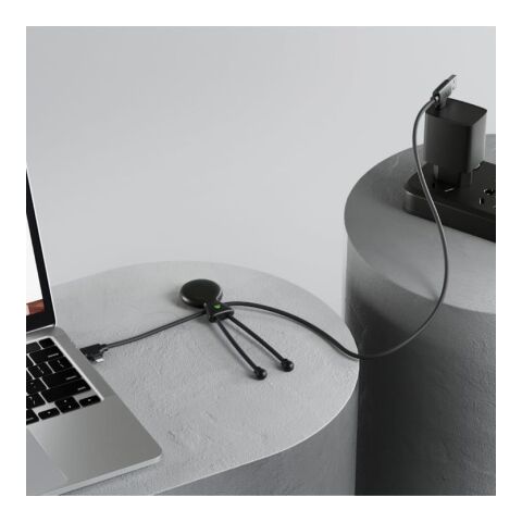 2089 | Xoopar Mr. Bio Long Power Delivery Cable with data transfer Negro intenso | sin montaje de publicidad | no disponible | no disponible | no disponible