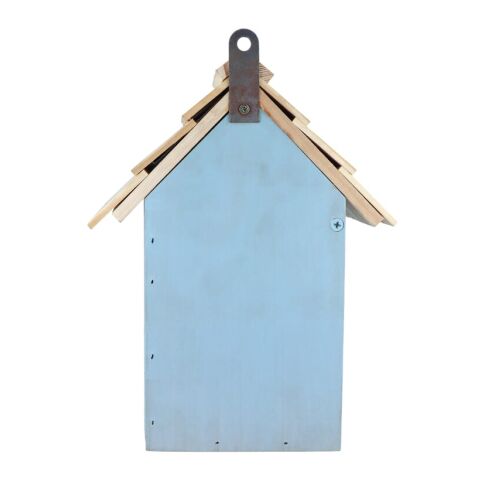 Nido azul claro | sin montaje de publicidad | no disponible | no disponible | no disponible