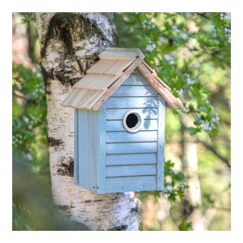 Nido azul claro | sin montaje de publicidad | no disponible | no disponible | no disponible