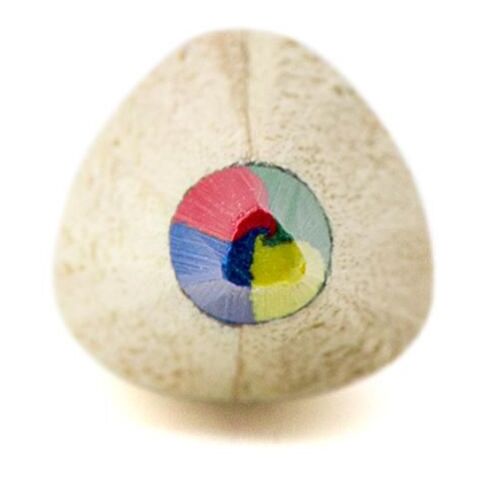 Lápiz multicolor marrón | sin montaje de publicidad | no disponible | no disponible