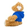 Oso de peluche con capucha azul