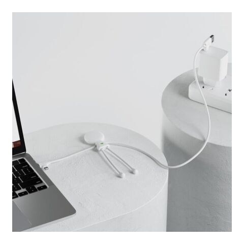 2089 | Xoopar Mr. Bio Long Power Delivery Cable with data transfer Blanco | sin montaje de publicidad | no disponible | no disponible | no disponible