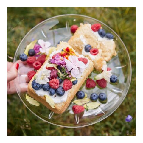 Paquete de 4 platos pequeños Picnic de Sagaform Transparente | sin montaje de publicidad