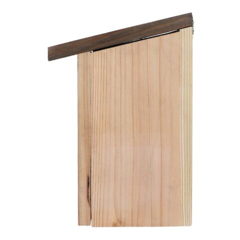 Nido rústico Natural | sin montaje de publicidad | no disponible | no disponible | no disponible