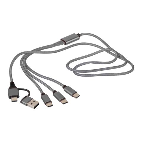 Cable de carga Hexa | 6-en-1 plata