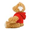 Oso de peluche con capucha rojo
