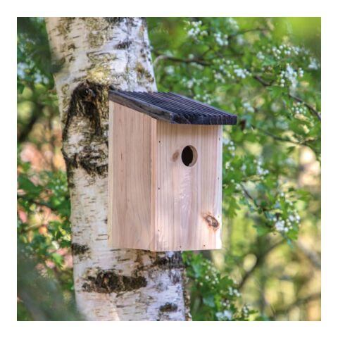 Nido rústico Natural | sin montaje de publicidad | no disponible | no disponible | no disponible