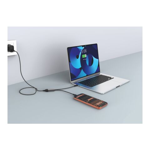 Cable de salida dual USB-C Terra 100W RCS negro-gris