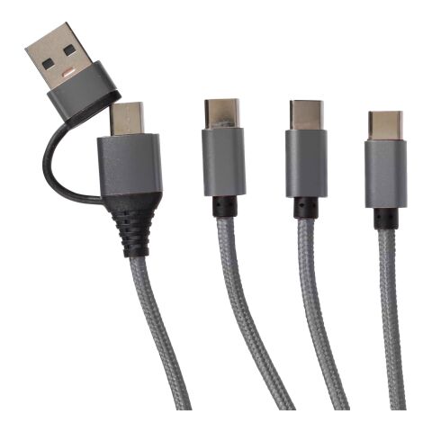 Cable de carga Hexa | 6-en-1 plata