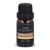 InSideOut Aroma Hanger Aceite de sándalo 10 ml Marrón