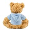 Oso de peluche con capucha azul